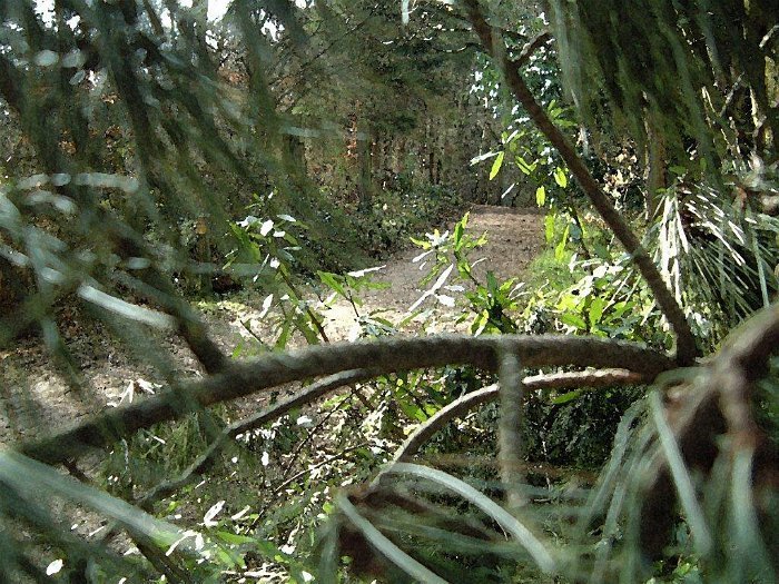 derwent path